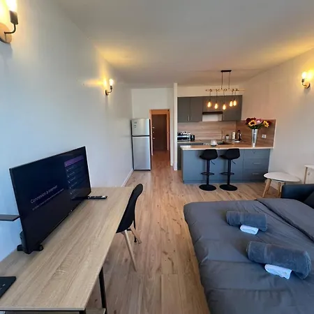 Apartamento Luxury Victor Hugo - Champs-elysee